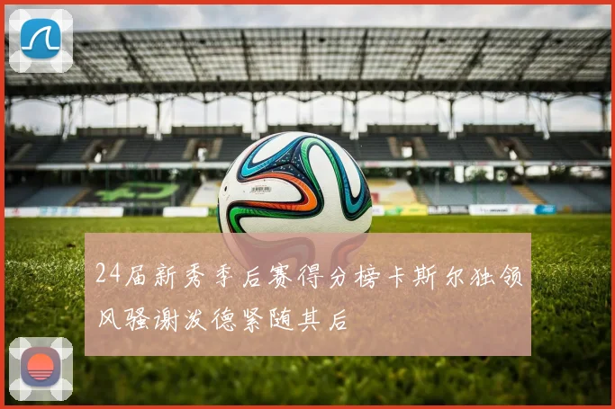24届新秀季后赛得分榜卡斯尔独领风骚谢泼德紧随其后